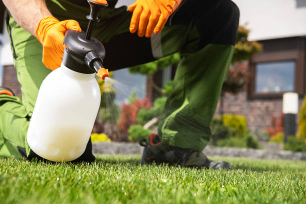 Best Residential Pest Control  in Judsonia, AR