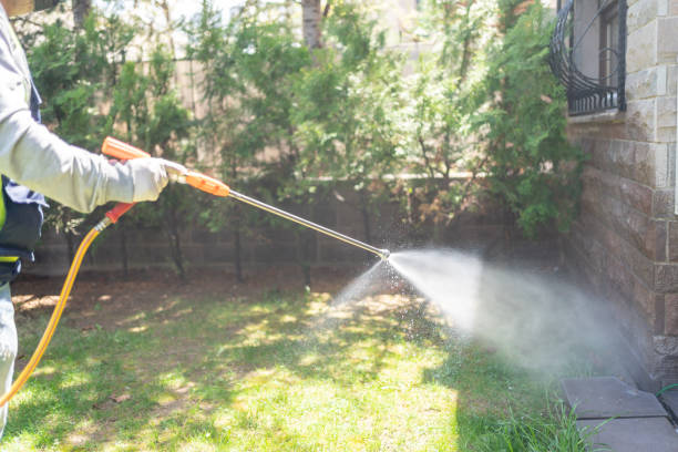 Best Affordable Pest Control Services  in Judsonia, AR